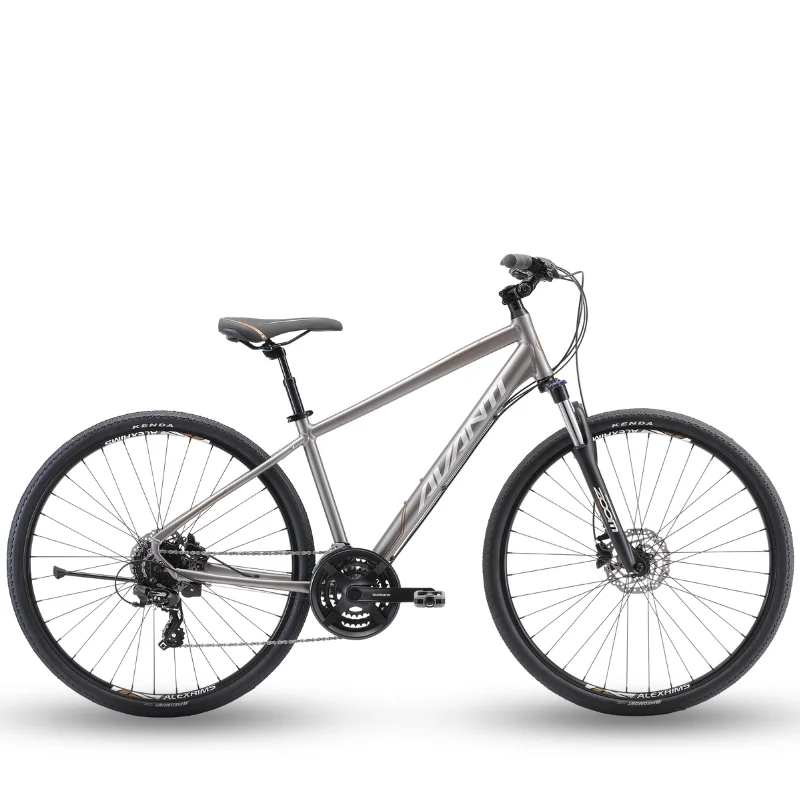 Avanti Discovery 2 Hybrid Bike - Titanium