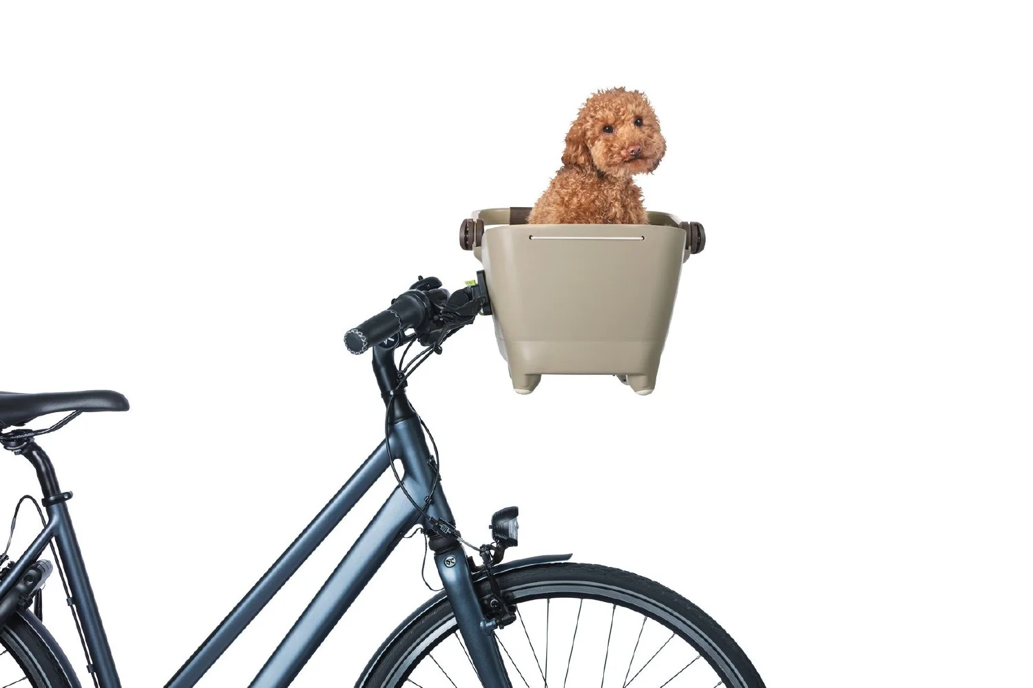 Basil BUDDY DOG Bicycle Basket KF 32L - Biscotti Brown - Image 6