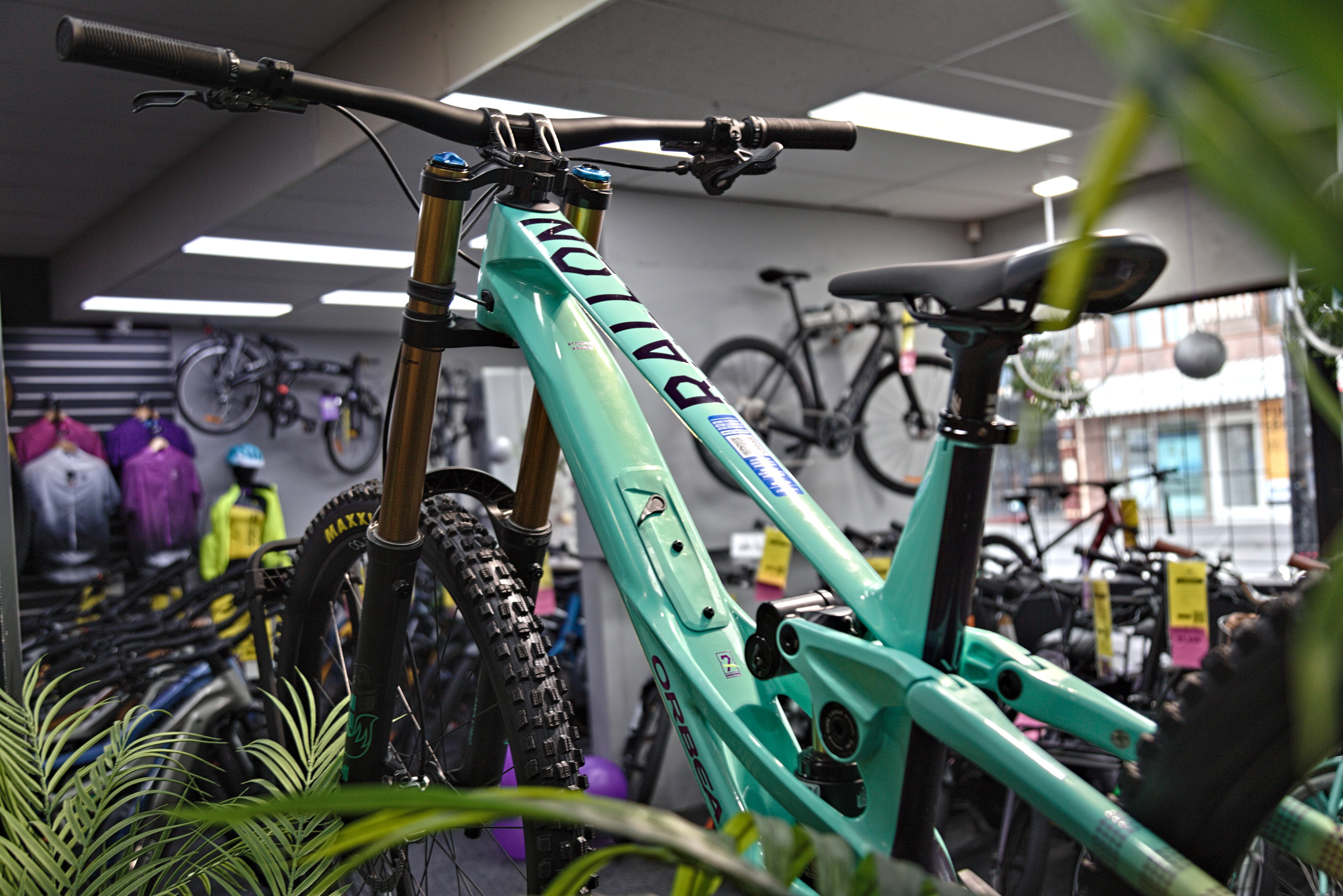 Orbea Rallon D-LTD Downhill Mountain Bike - Aloha Green/Fantasy Purple Carbon View - Image 3